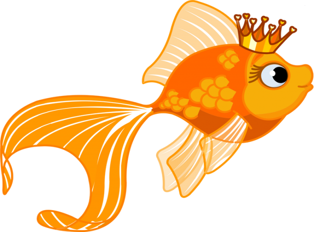 Приснилась золотая рыбка, что это значит Золотая Рыбка, Сон, Значение, Длиннопост, Толкование снов